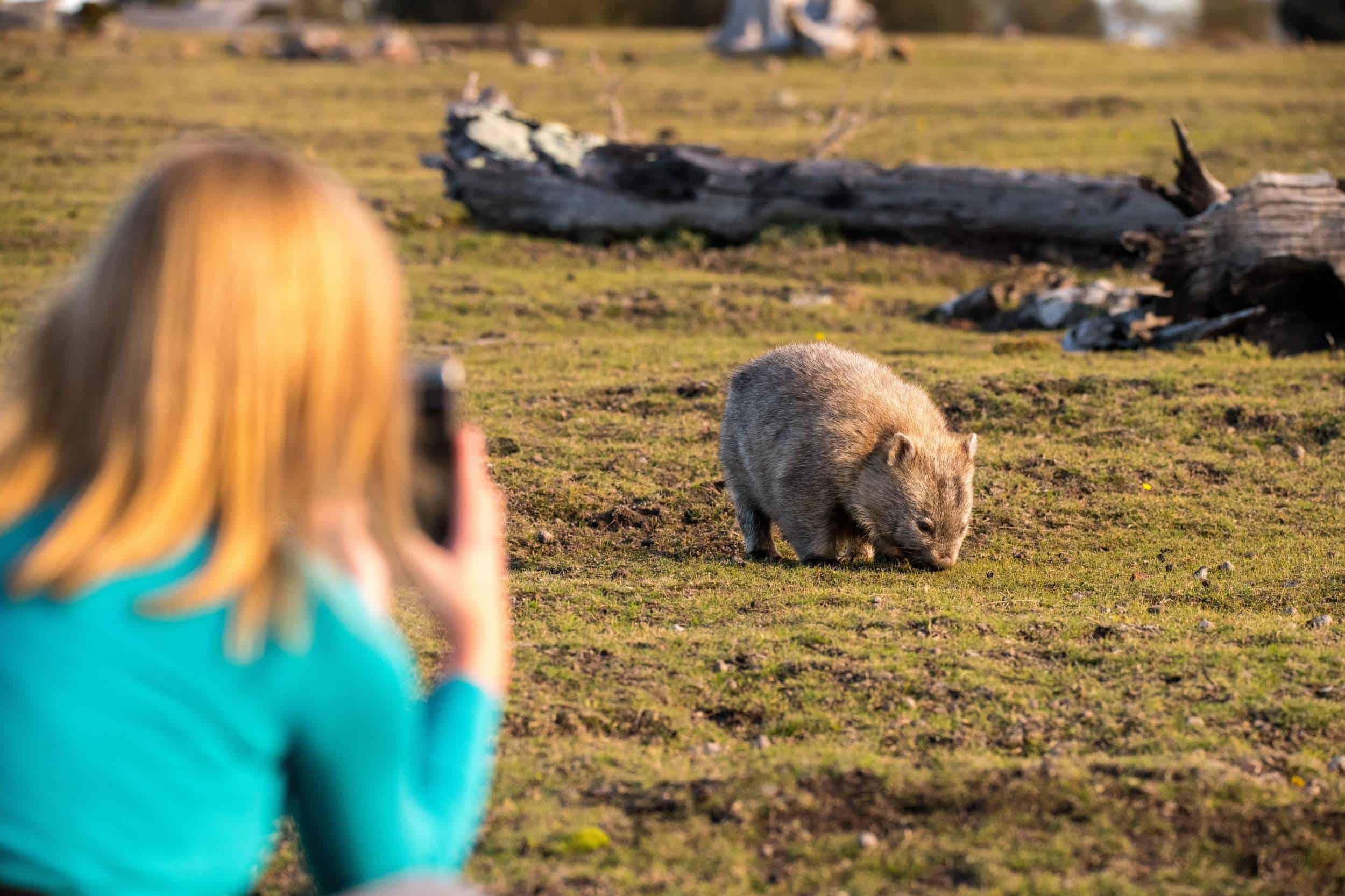 A Place Like No Other; Tasmania